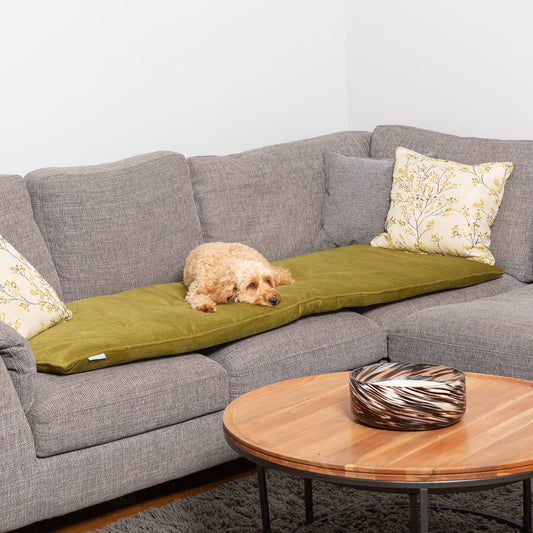 Couch Topper in Olive Velvet By Lords & Labradors