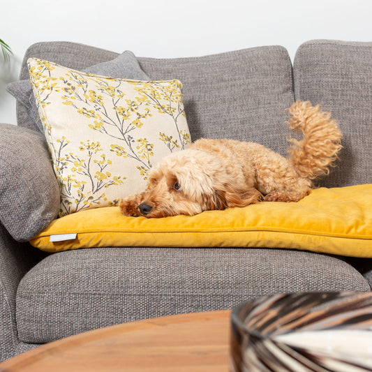 Couch Topper in Saffron Velvet By Lords & Labradors