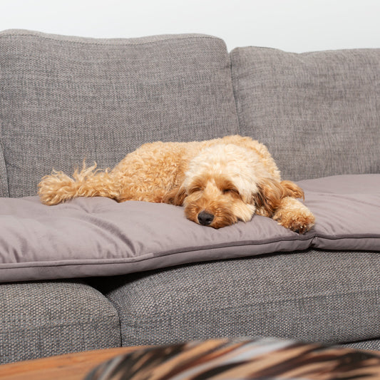 Couch Topper in Silt Velvet By Lords & Labradors