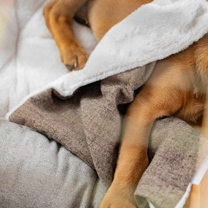Discover The Perfect Scented Blanket For Puppies! Help Your New Furry Friend Settle Into Their New Home With Our Inchmurrin Scented Puppy Blanket In Stunning Brown Ember! Available Now at Lords & Labradors 