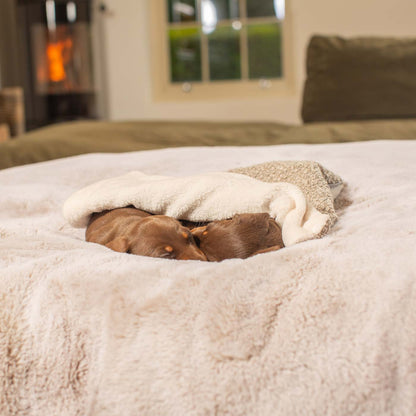 [color:mink boucle] Luxury Boucle Pet Scent Blanket collection, In Stunning Mink Boucle. The Perfect Blanket For Dogs, Available at Lords & Labradors US