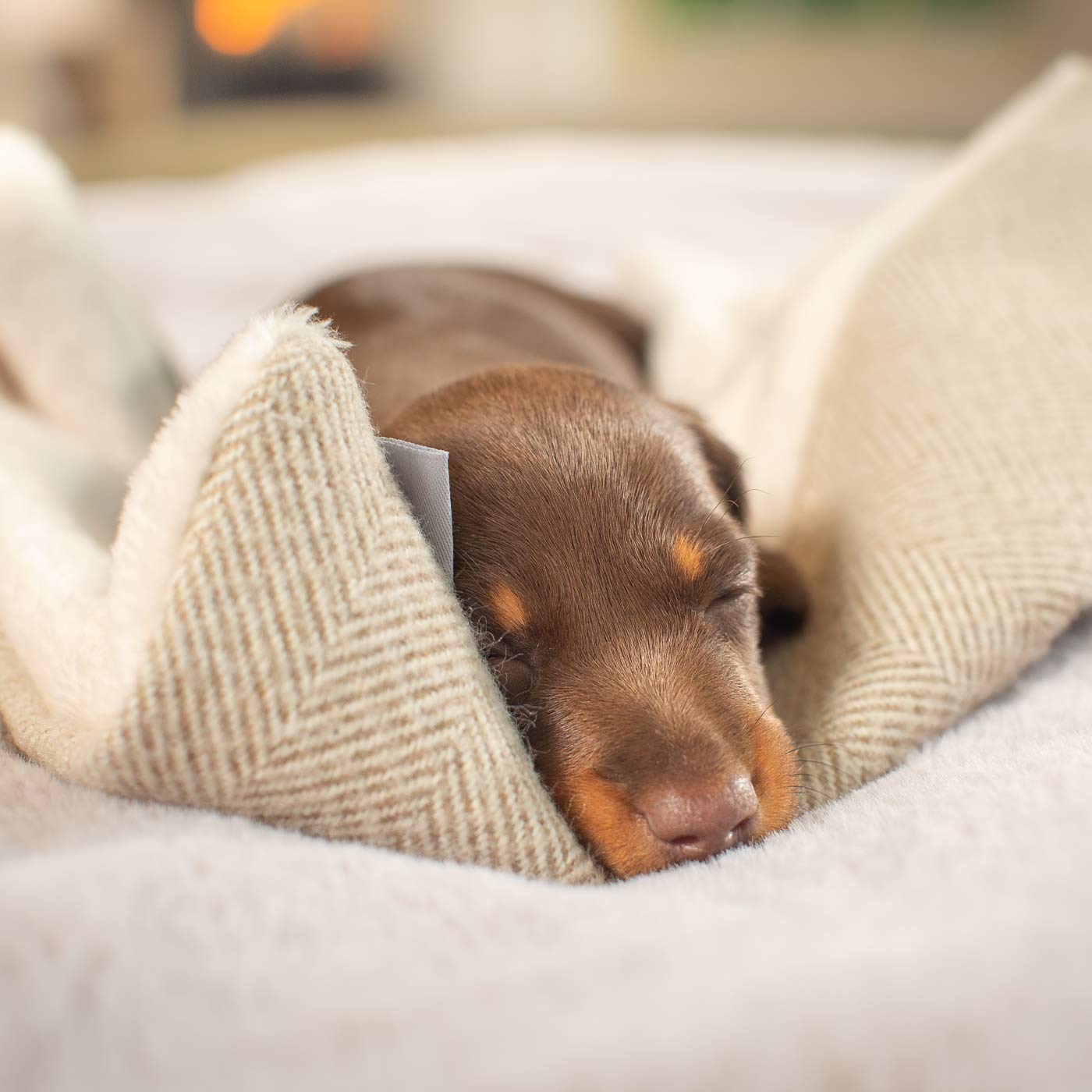 Luxury Herringbone Pet Scent Blanket collection, In Stunning Natural Herringbone. The Perfect Blanket For Dogs, Available at Lords & Labradors US