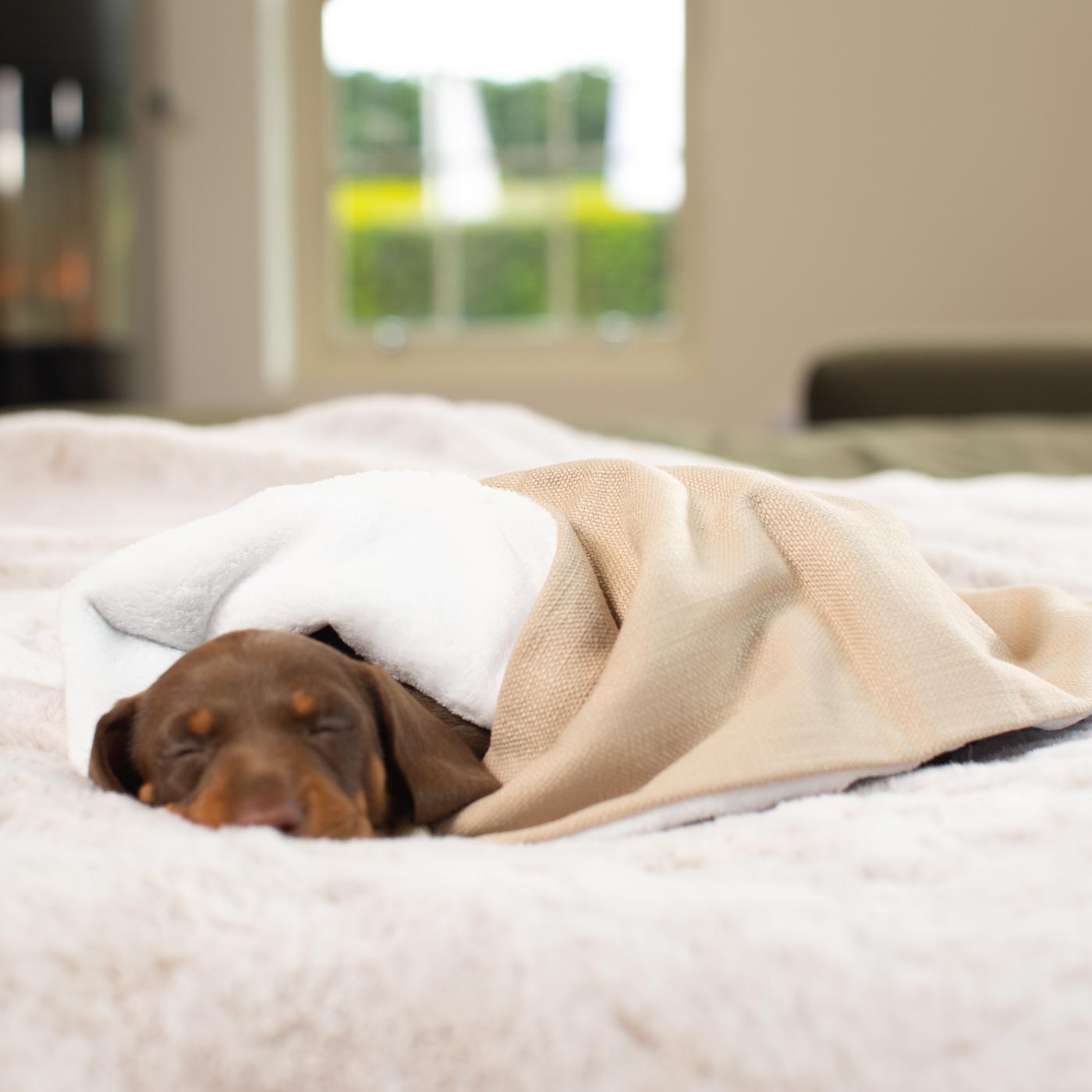 Luxury Savanna Pet Blanket collection, In Stunning Savanna Oatmeal. The Perfect Blanket For Dogs, Available at Lords & Labradors US