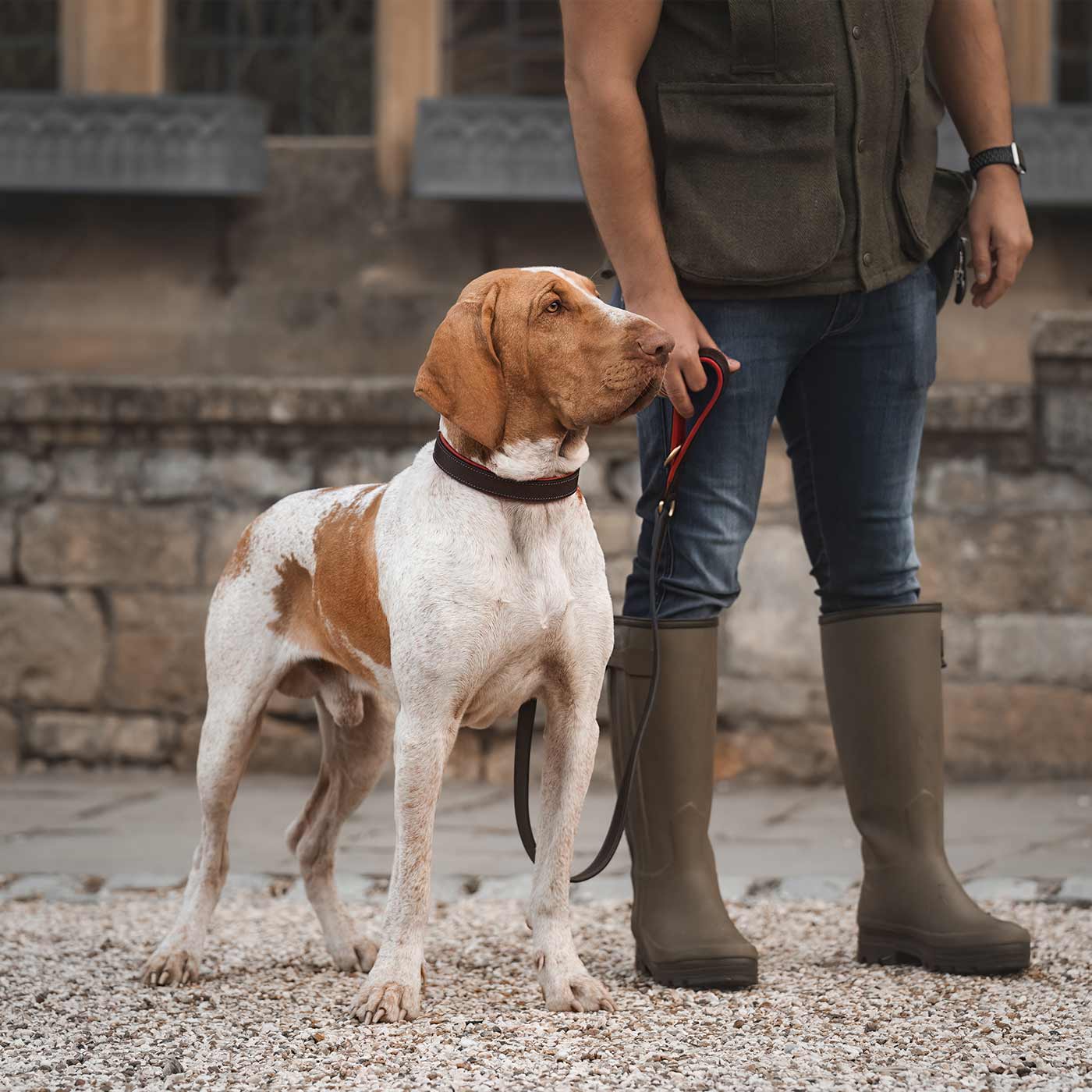 Discover dog walking luxury with our handcrafted Italian padded leather dog collar in Brown & Red! The perfect collar for dogs available now at Lords & Labradors US