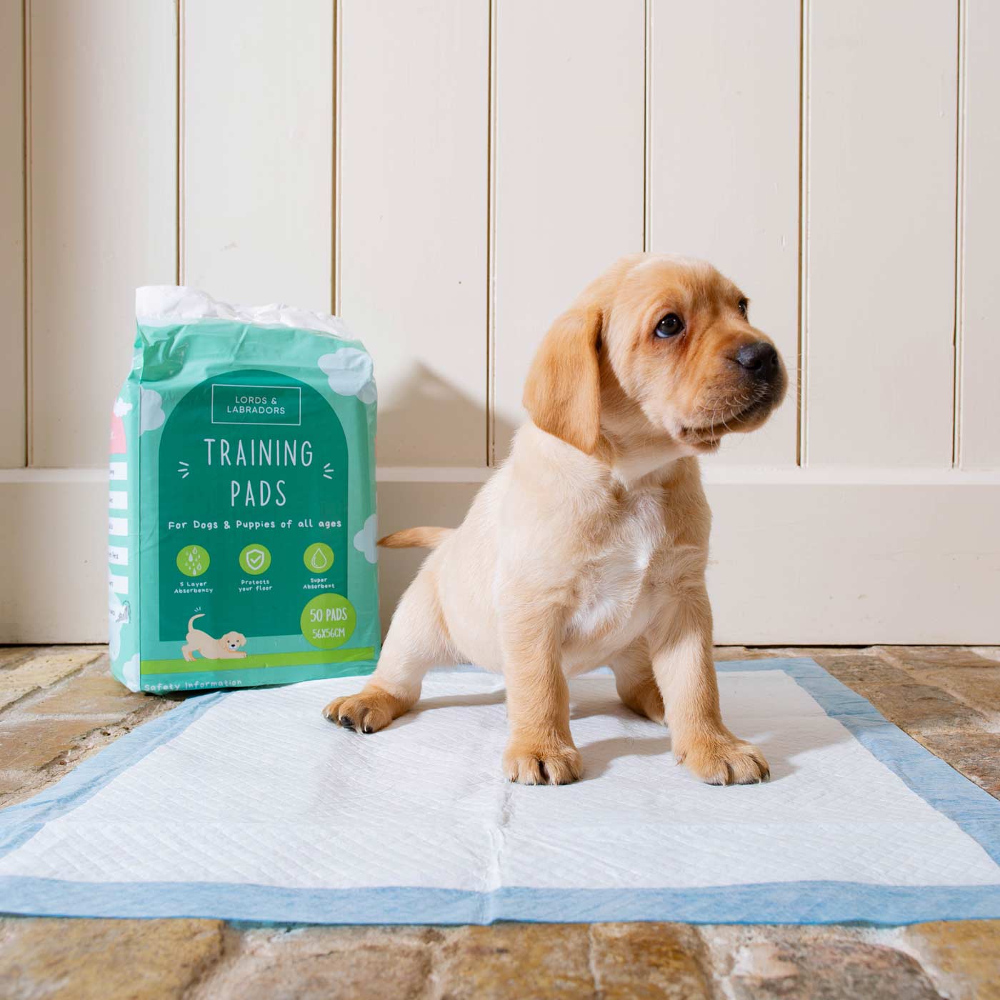 Discover Puppy Training Pads, 50 pads per pack. Featuring Super absorbent with 5 layers absorbency, and Makes house training easy and protects floors. Reducing smelly odours, Perfect for training puppies, travelling, ill or confined dogs. now available at Lords and Labradors US