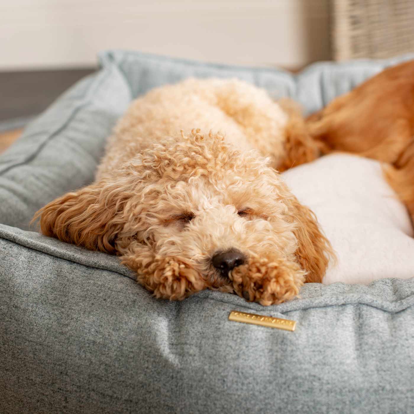 Box Bed For Dogs In Inchmurrin Iceberg By Lords & Labradors