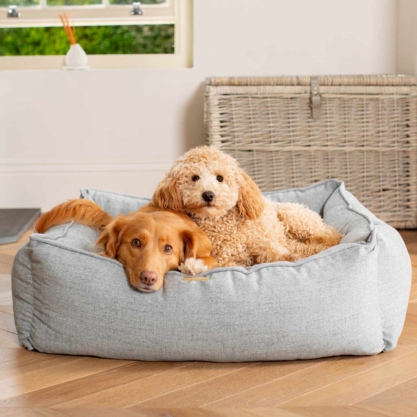 Box Bed For Dogs In Inchmurrin Iceberg By Lords & Labradors