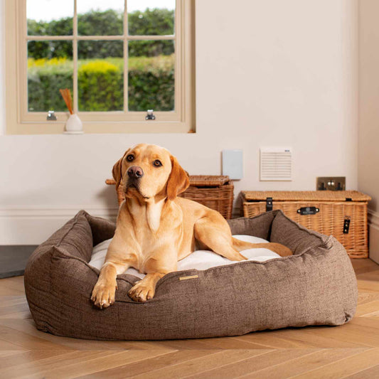 Box Bed For Dogs In Inchmurrin Umber By Lords & Labradors