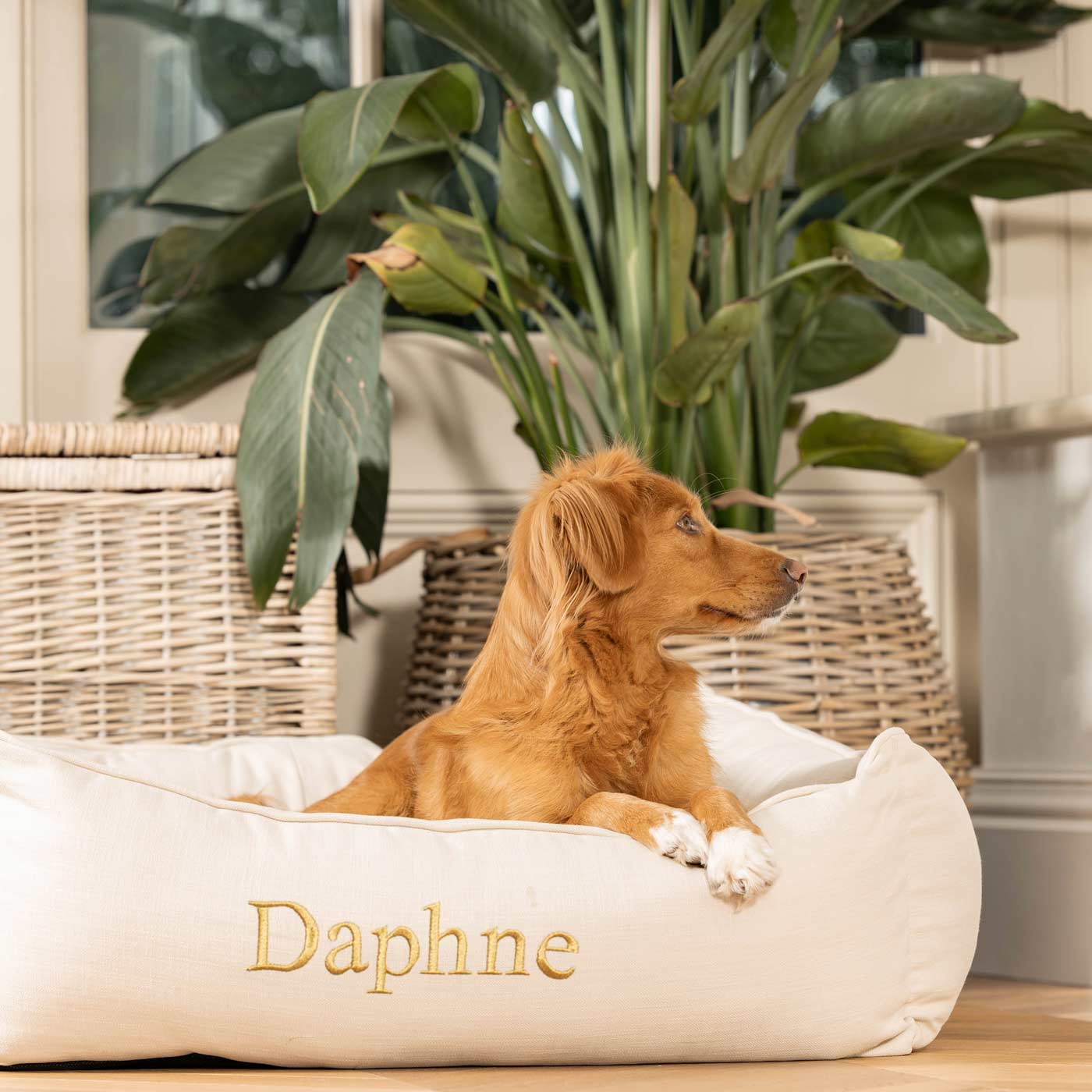 Dog bed shop with embroidered name