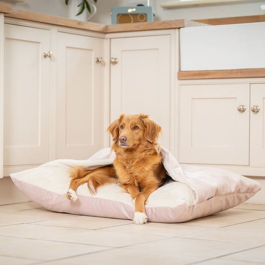 Sleepy Burrows Bed In Blossom Velvet By Lords & Labradors
