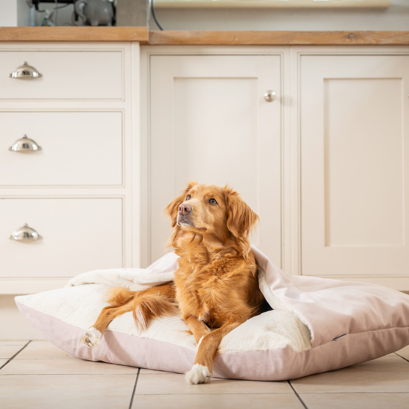 Sleepy Burrows Bed In Blossom Velvet By Lords & Labradors