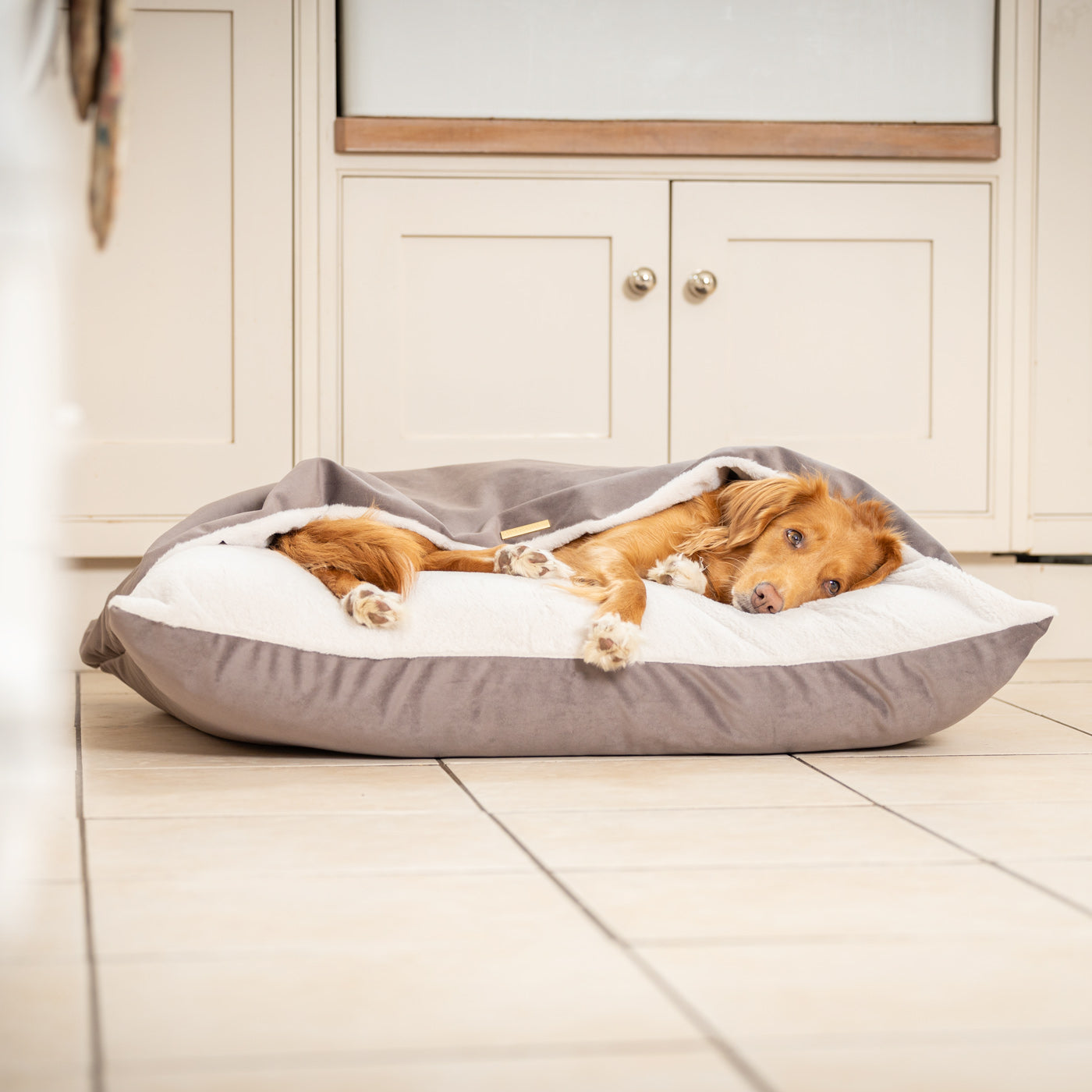 Sleepy Burrows Bed In Silt Velvet By Lords & Labradors