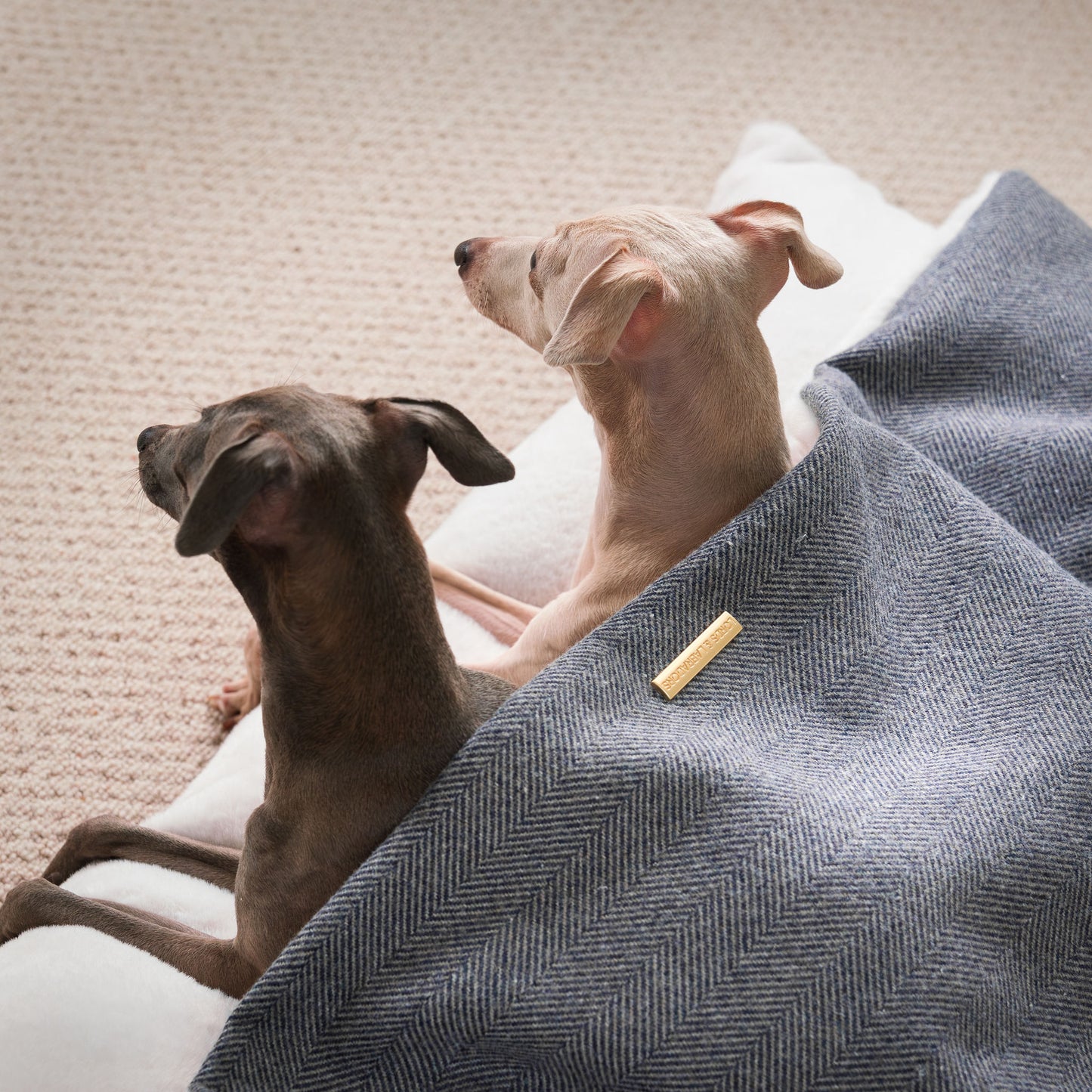 Discover The Perfect Burrow For Your Pet, Our Stunning Sleepy Burrow Dog Beds In Oxford Herringbone Is The Perfect Bed Choice For Your Pet, Available Now at Lords & Labradors US