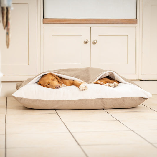 Sleepy Burrows Bed In Clay Velvet By Lords & Labradors