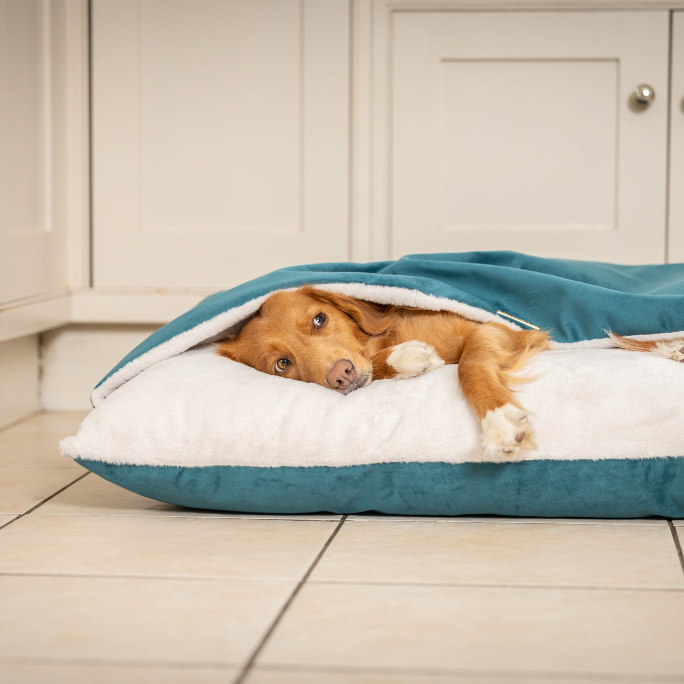 Sleepy Burrows Bed In Marine Velvet By Lords & Labradors