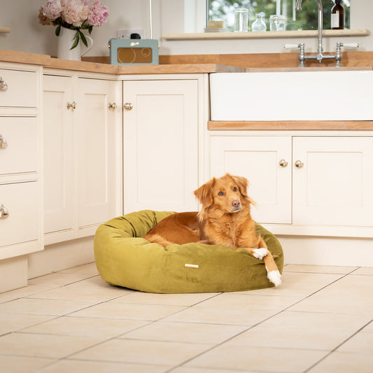 Donut Bed in Olive Velvet By Lords & Labradors