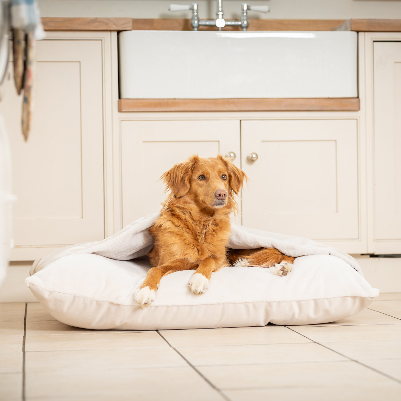 Sleepy Burrows Bed In Oyster Velvet By Lords & Labradors