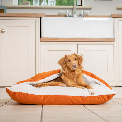 Sleepy Burrows Bed In Pumpkin Velvet By Lords & Labradors