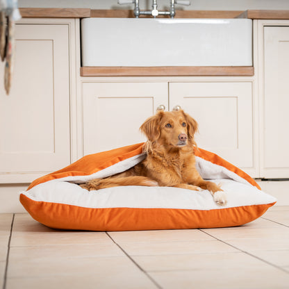 Sleepy Burrows Bed In Pumpkin Velvet By Lords & Labradors