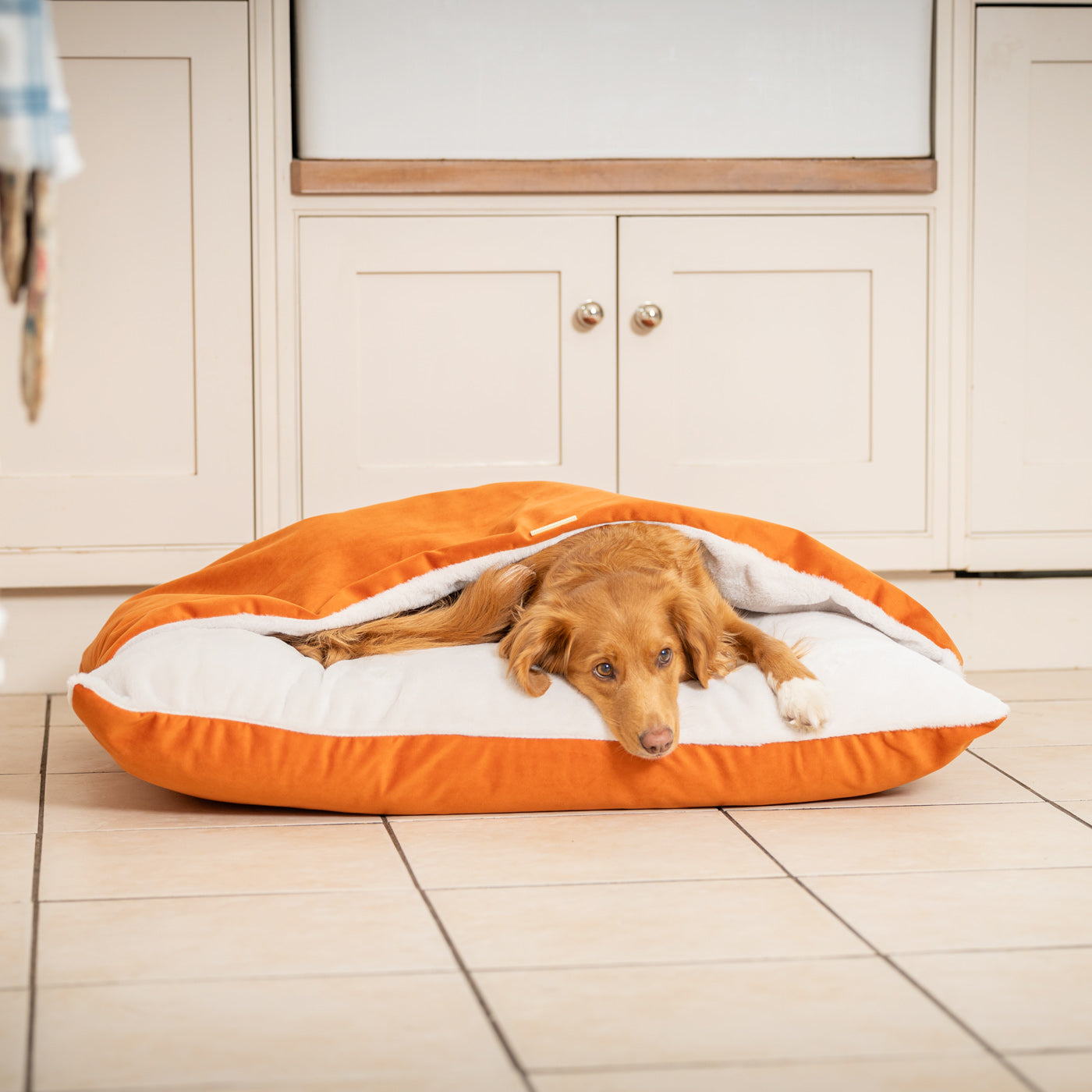 Sleepy Burrows Bed In Pumpkin Velvet By Lords & Labradors