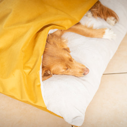 Sleepy Burrows Bed In Saffron Velvet By Lords & Labradors