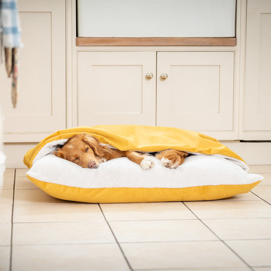 Sleepy Burrows Bed In Saffron Velvet By Lords & Labradors