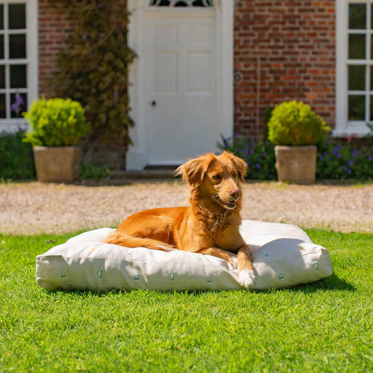 Luxury Sleepeeze Dog Cushion in Cactus, The Perfect Pet Bed Time Accessory! Available Now at Lords & Labradors US