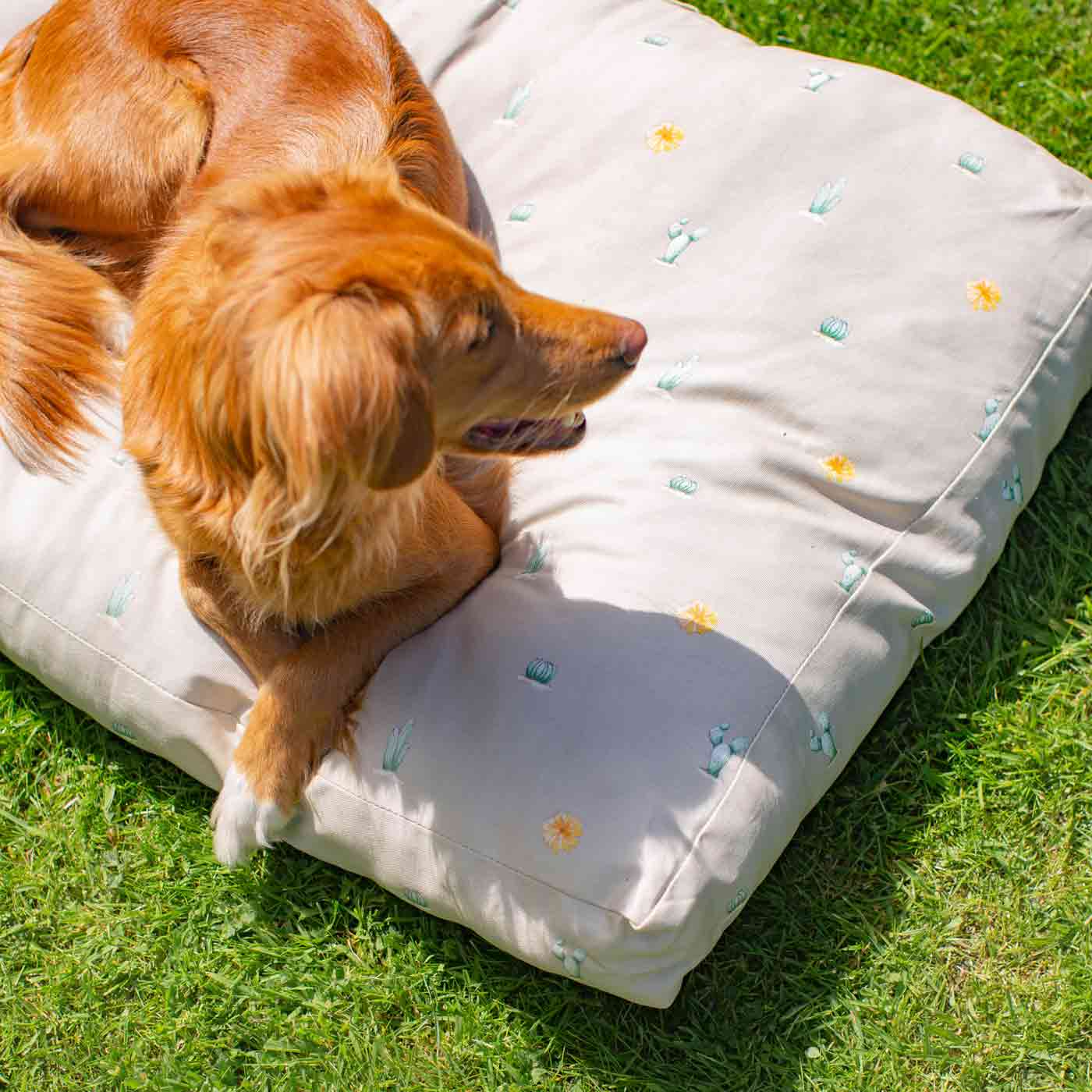 Luxury Sleepeeze Dog Cushion in Cactus, The Perfect Pet Bed Time Accessory! Available Now at Lords & Labradors US