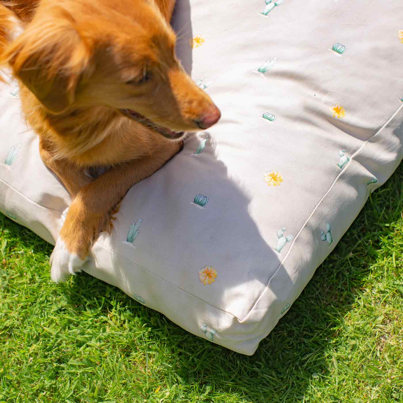 Luxury Sleepeeze Dog Cushion in Cactus, The Perfect Pet Bed Time Accessory! Available Now at Lords & Labradors US