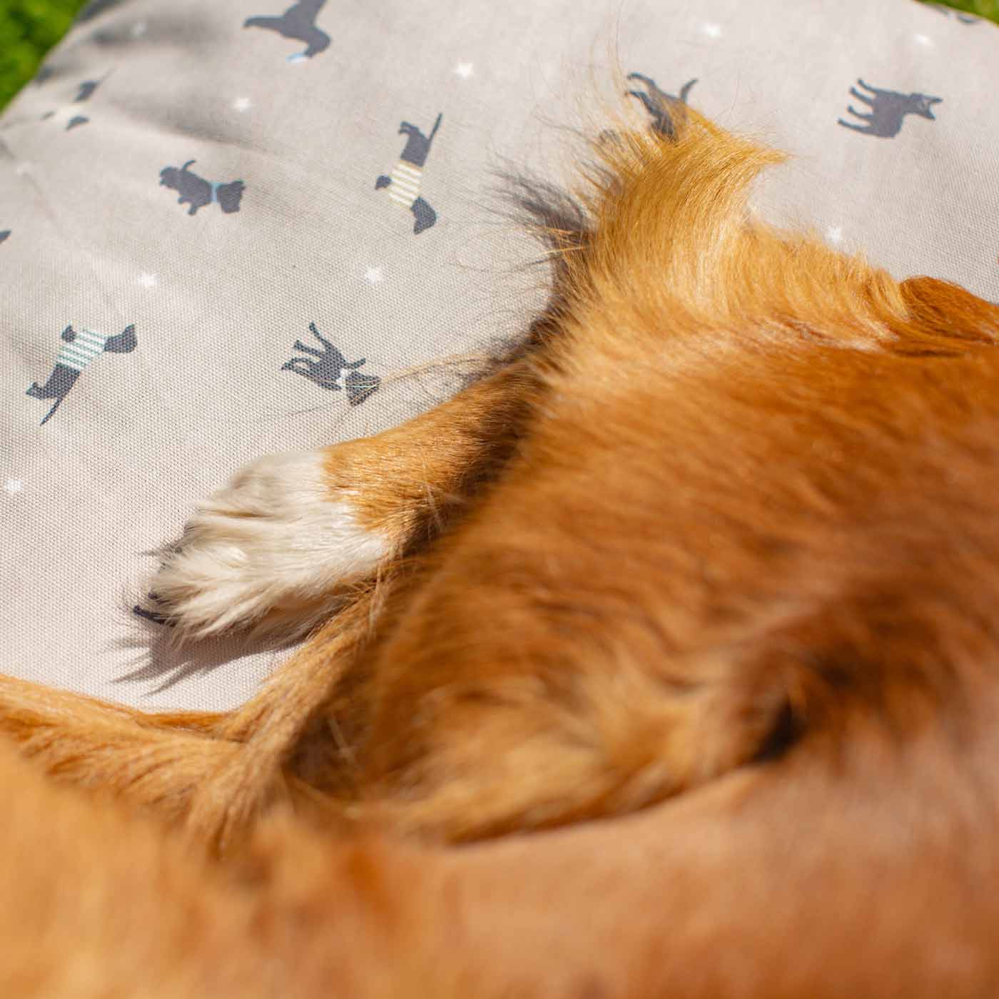 Luxury Sleepeeze Dog Cushion in Cosmopolitan Dog, The Perfect Pet Bed Time Accessory! Available Now at Lords & Labradors US