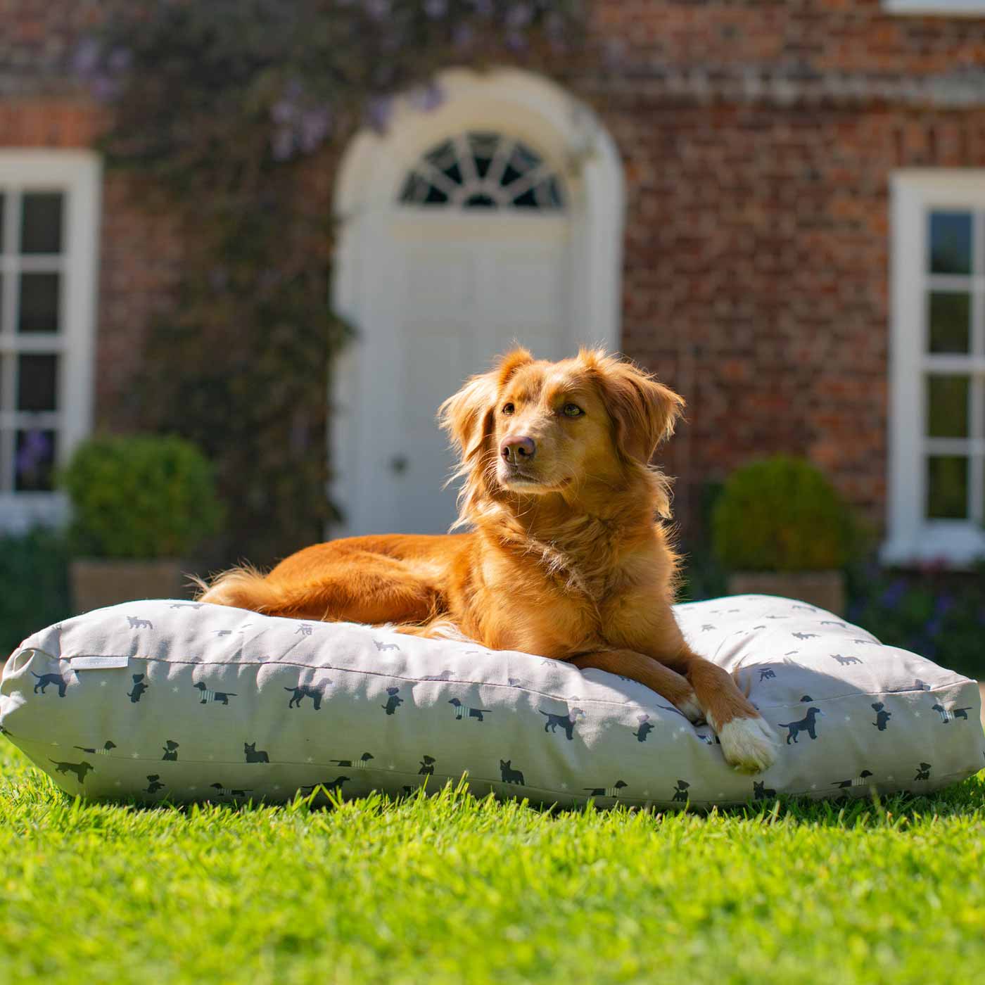 Luxury Sleepeeze Dog Cushion in Cosmopolitan Dog, The Perfect Pet Bed Time Accessory! Available Now at Lords & Labradors US