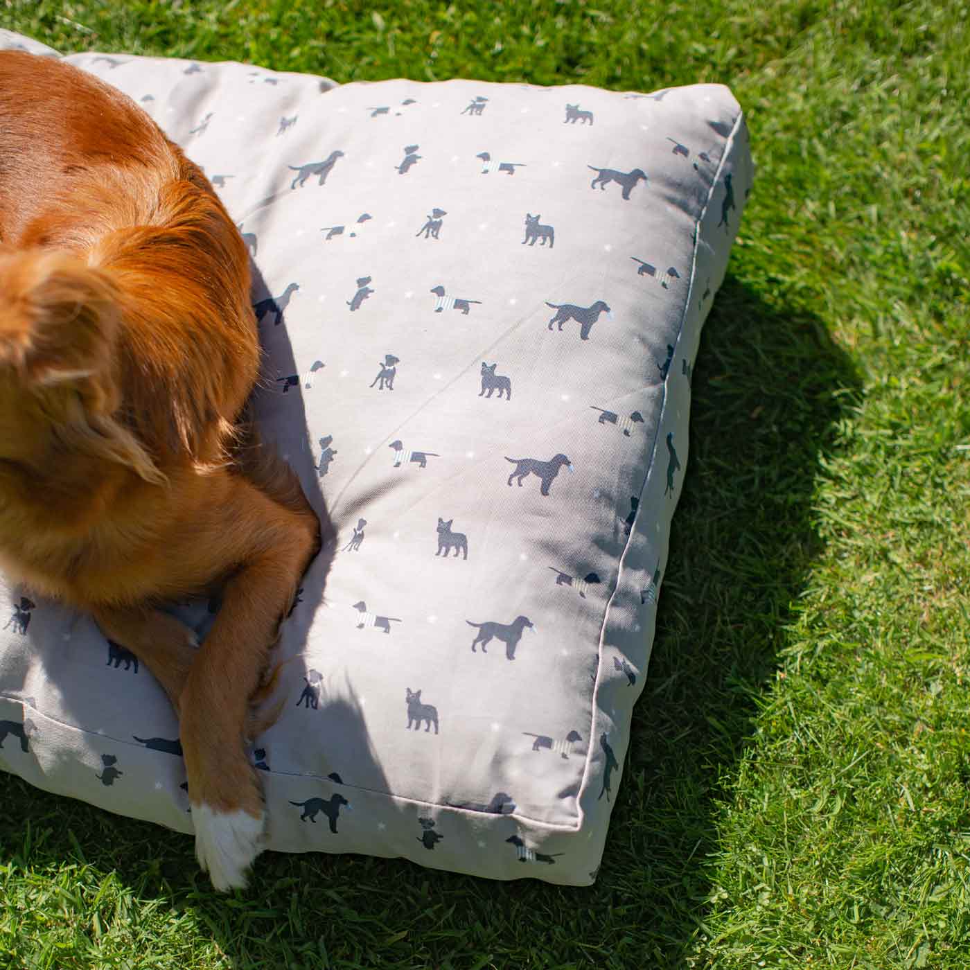 Luxury Sleepeeze Dog Cushion in Cosmopolitan Dog, The Perfect Pet Bed Time Accessory! Available Now at Lords & Labradors US