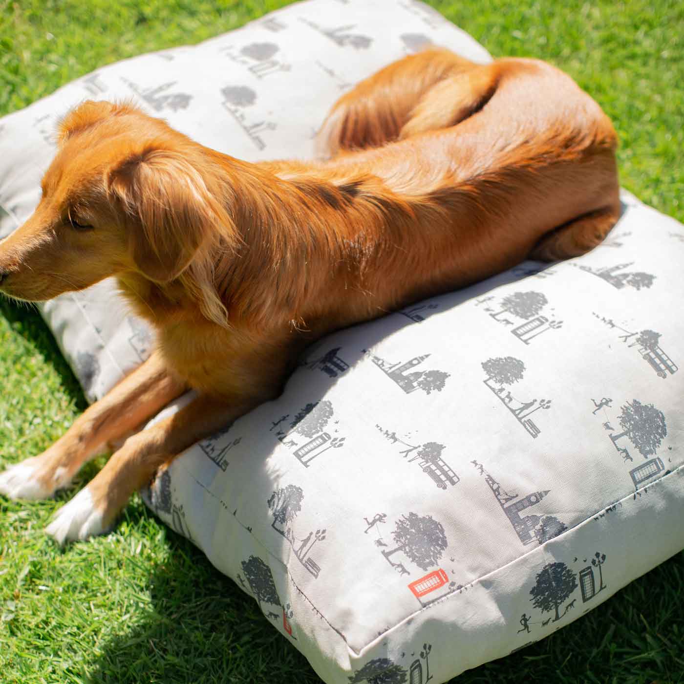 Luxury Sleepeeze Dog Cushion in Hyde Park, The Perfect Pet Bed Time Accessory! Available Now at Lords & Labradors US