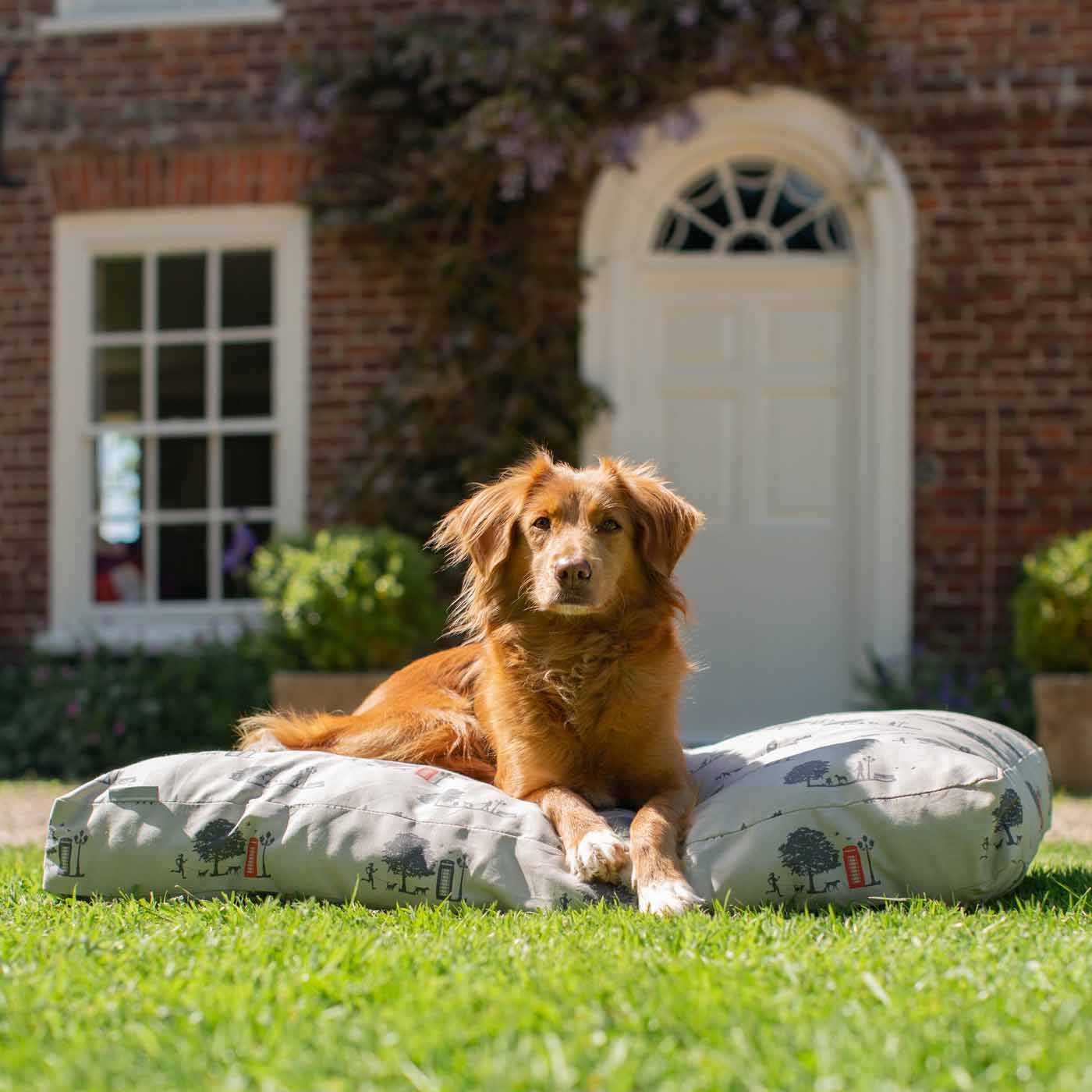 Luxury Sleepeeze Dog Cushion in Hyde Park, The Perfect Pet Bed Time Accessory! Available Now at Lords & Labradors