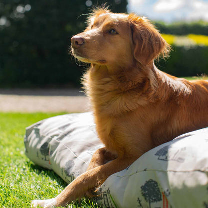 Luxury Sleepeeze Dog Cushion in Hyde Park, The Perfect Pet Bed Time Accessory! Available Now at Lords & Labradors