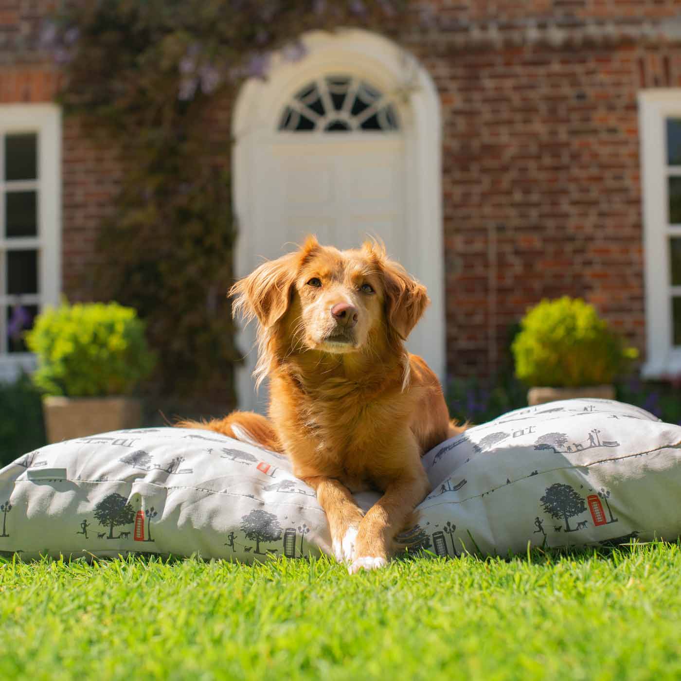 Luxury Sleepeeze Dog Cushion in Hyde Park, The Perfect Pet Bed Time Accessory! Available Now at Lords & Labradors US