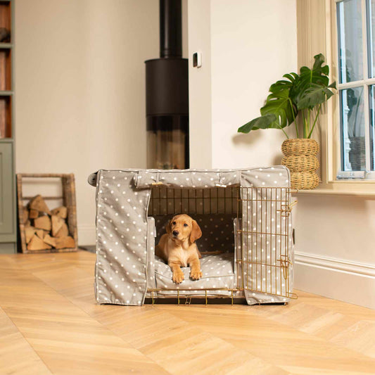 Luxury Gold Dog Cage Set With Cushion, Bumper and Cage Cover. The Perfect Dog Cage For The Ultimate Naptime, Available Now at Lords & Labradors US