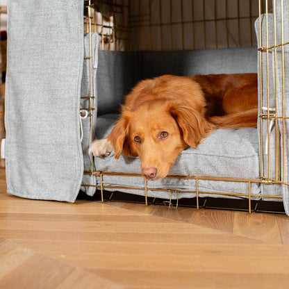 Dog Cage Set In Inchmurrin Iceberg by Lords & Labradors