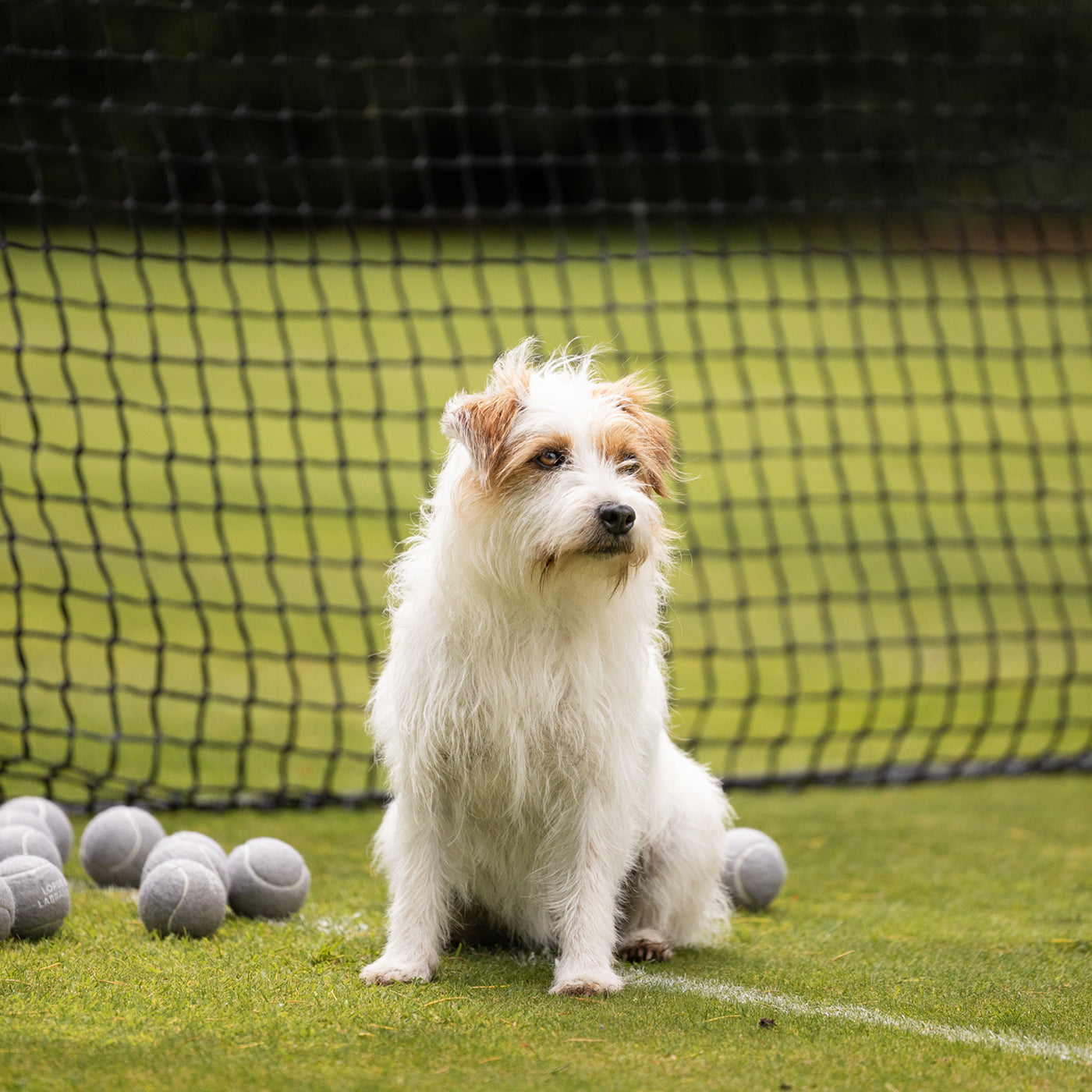 Super Bounce Tennis Balls 3 Pack by Lords & Labradors