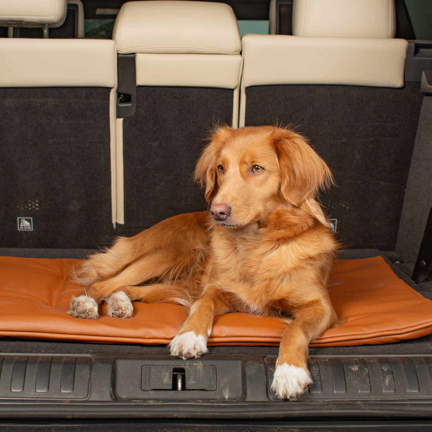 Embark on the perfect pet travel with our luxury Travel Mat in Essentials Rhino Ember. Featuring a Carry handle for on the move once Rolled up for easy storage, can be used as a seat cover, boot mat or travel bed! Available now at Lords & Labradors US