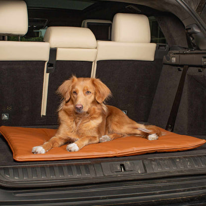 Embark on the perfect pet travel with our luxury Travel Mat in Essentials Rhino Ember. Featuring a Carry handle for on the move once Rolled up for easy storage, can be used as a seat cover, boot mat or travel bed! Available now at Lords & Labradors US