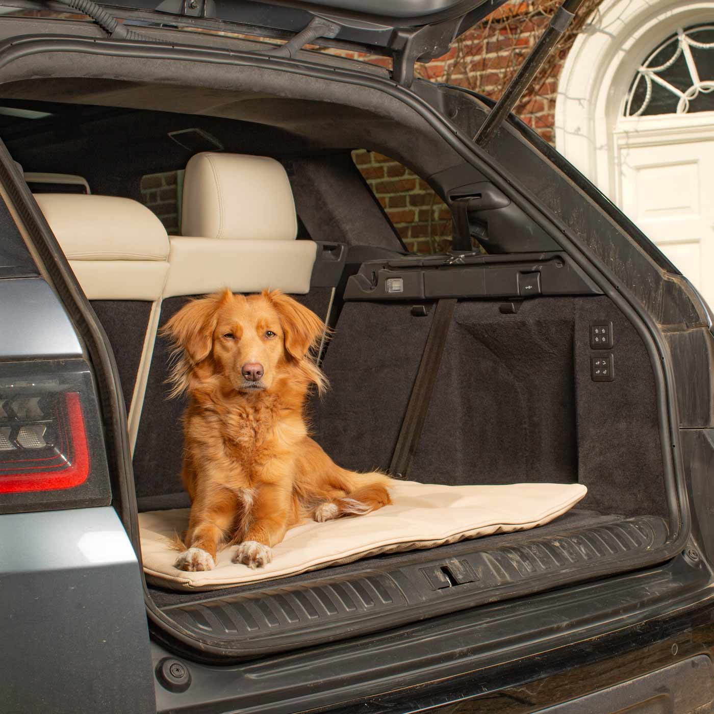 Embark on the perfect pet travel with our luxury Travel Mat in Rhino Sand. Featuring a Carry handle for on the move once Rolled up for easy storage, can be used as a seat cover, boot mat or travel bed! Available now at Lords & Labradors US