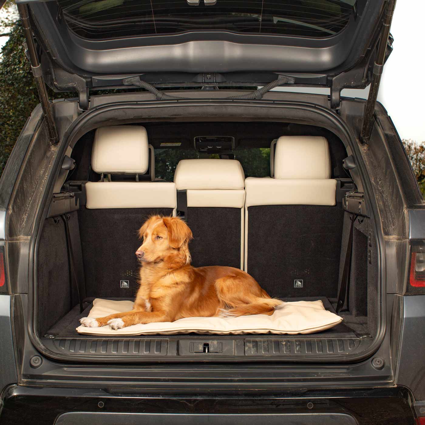 Embark on the perfect pet travel with our luxury Travel Mat in Rhino Sand. Featuring a Carry handle for on the move once Rolled up for easy storage, can be used as a seat cover, boot mat or travel bed! Available now at Lords & Labradors US