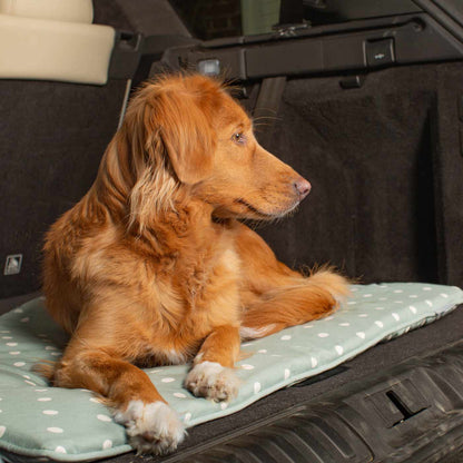 Embark on the perfect pet travel with our luxury Travel Mat in Essentials Duck Egg Spot. Featuring a Carry handle for on the move once Rolled up for easy storage, can be used as a seat cover, boot mat or travel bed! Available now at Lords & Labradors US