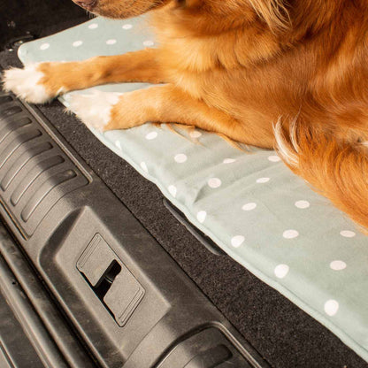 Embark on the perfect pet travel with our luxury Travel Mat in Essentials Duck Egg Spot. Featuring a Carry handle for on the move once Rolled up for easy storage, can be used as a seat cover, boot mat or travel bed! Available now at Lords & Labradors US