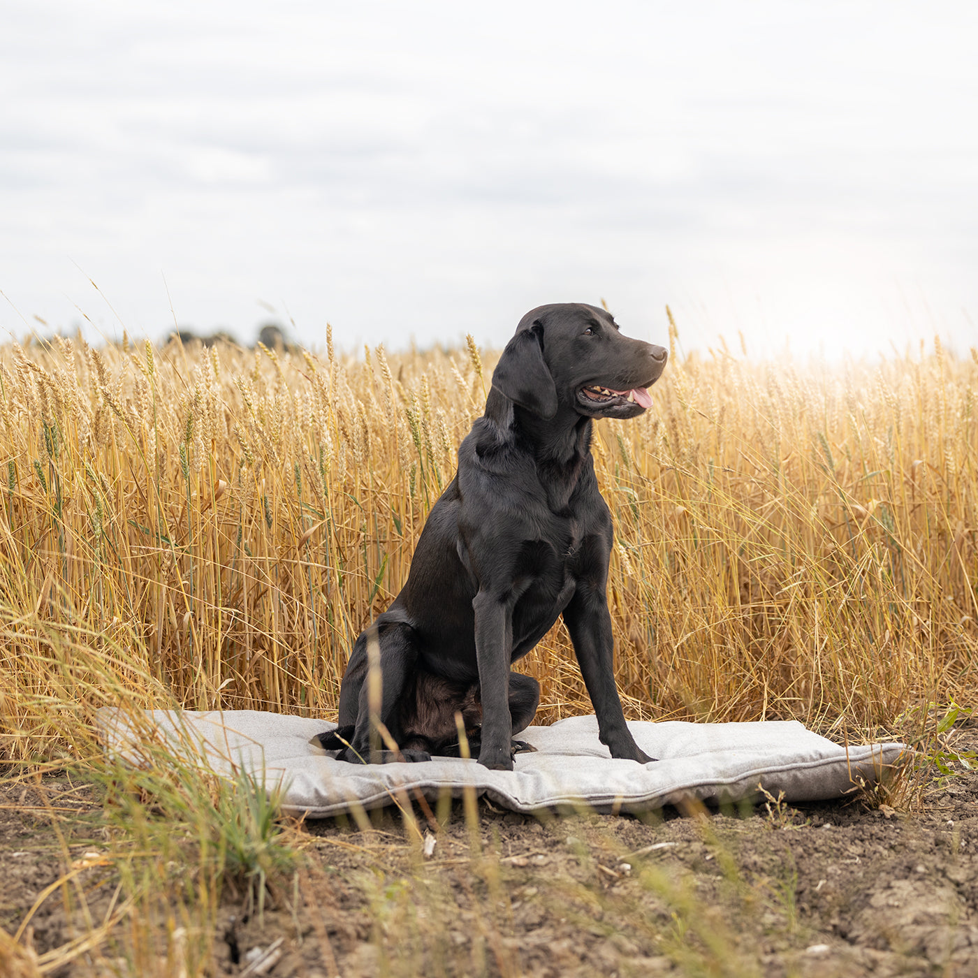 Travel Mat In Inchmurrin Ground By Lords & Labradors