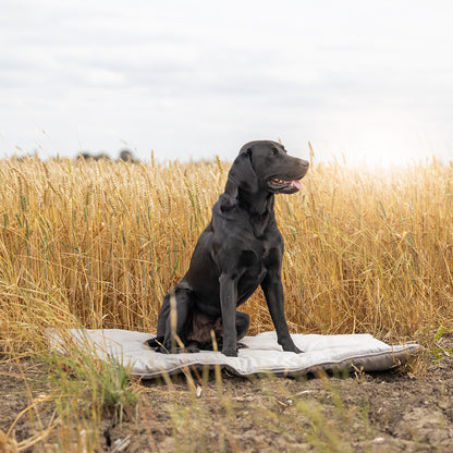 Travel Mat In Inchmurrin Ground By Lords & Labradors