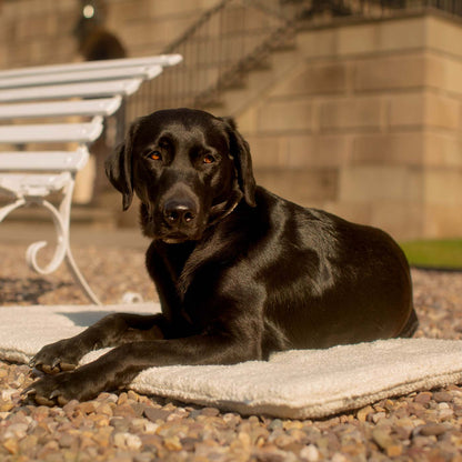 Embark on the perfect pet travel with our luxury Travel Mat in Ivory Boucle. Featuring a Carry handle for on the move once Rolled up for easy storage, can be used as a seat cover, boot mat or travel bed! Available now at Lords & Labradors US