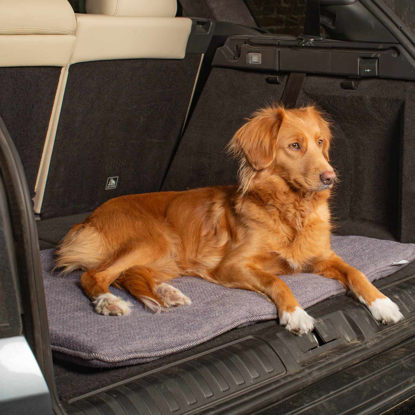 Embark on the perfect pet travel with our luxury Travel Mat in Oxford Herringbone. Featuring a Carry handle for on the move once Rolled up for easy storage, can be used as a seat cover, boot mat or travel bed! Available now at Lords & Labradors US