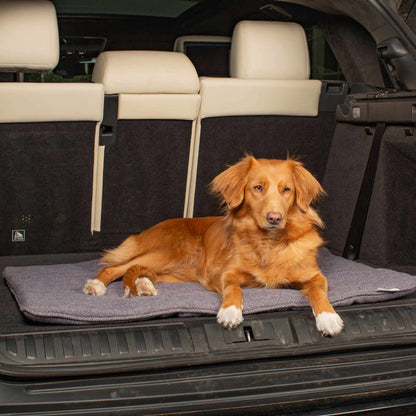 Embark on the perfect pet travel with our luxury Travel Mat in Oxford Herringbone. Featuring a Carry handle for on the move once Rolled up for easy storage, can be used as a seat cover, boot mat or travel bed! Available now at Lords & Labradors US